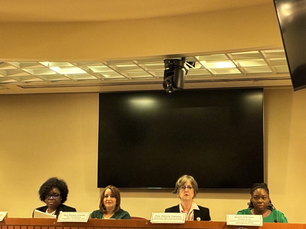 “Strengthening Women's Public and Parliamentary Leadership to Advance Justice, Laws and Accountable Governance in Africa”